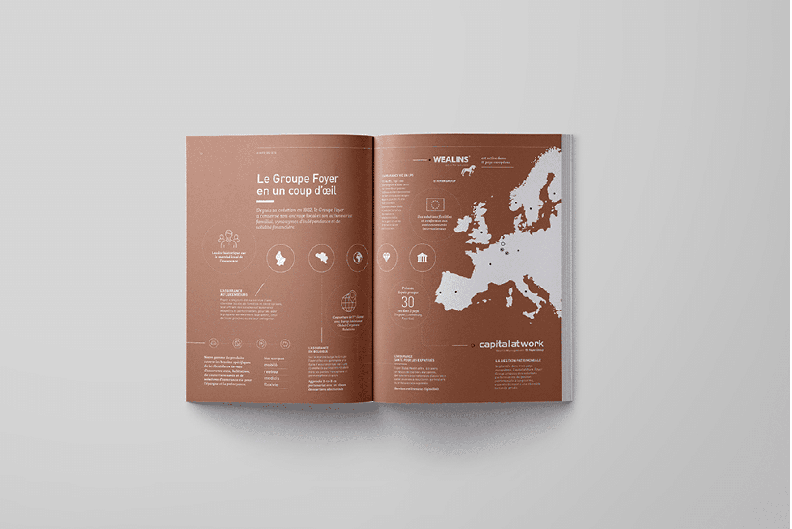 Double page ouverte d'une brochure présentant des informations sur le Groupe Foyer en tons de brun, avec texte descriptif et une carte de l'Europe indiquant les zones d'activité sur la page de droite.
