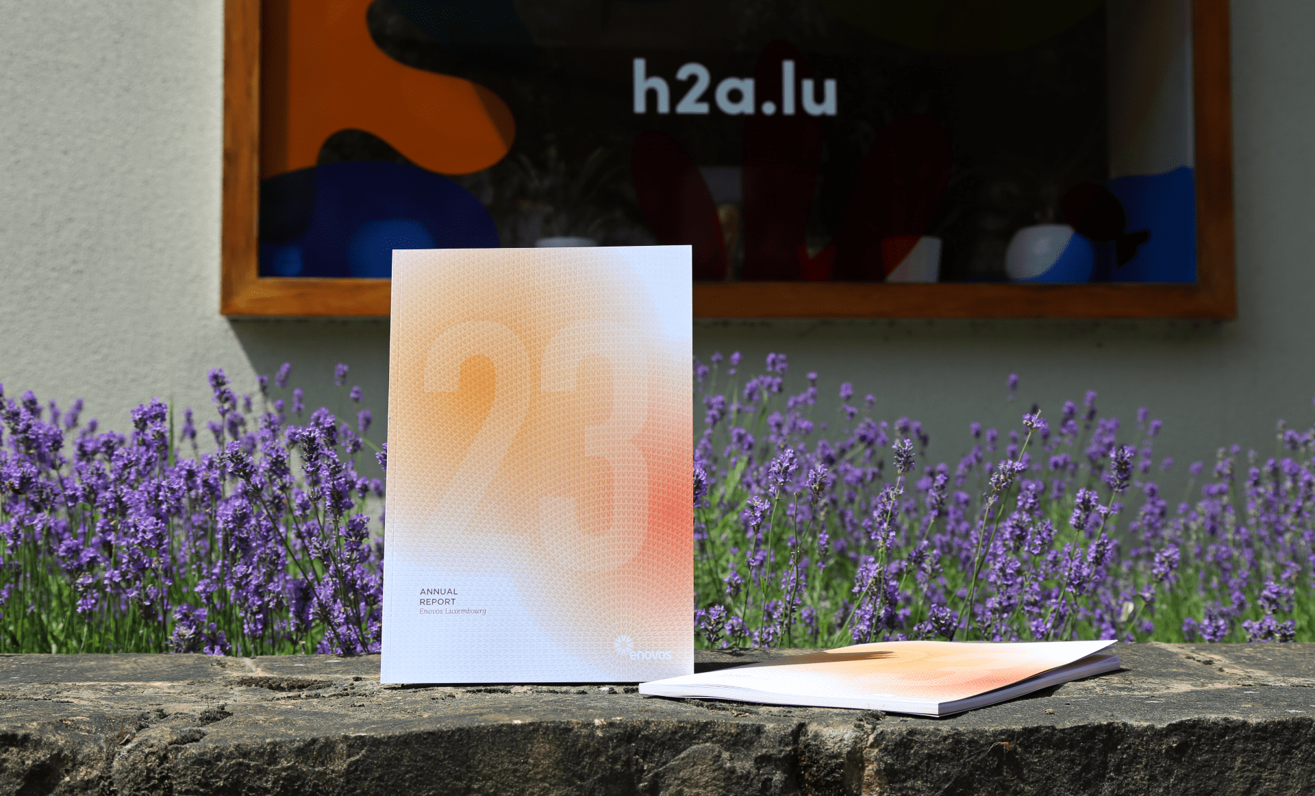 Rapport annuel 2023 d'Enovos posé sur un mur de pierre avec des fleurs de lavande en arrière-plan, couverture présentant un grand '23' en dégradé de couleurs chaudes avec le texte 'Annual Report - Enovos Luxembourg'.